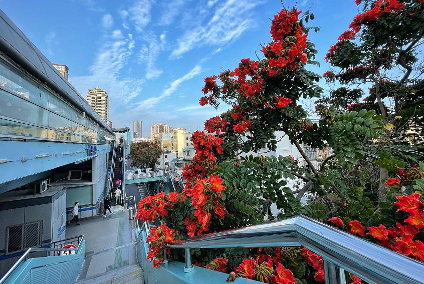 一起乘坐火车去旅游,一起乘坐飞机旅游