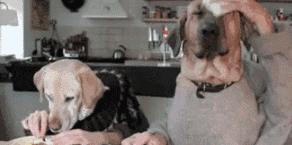 女子中暑,女人中暑致死亡