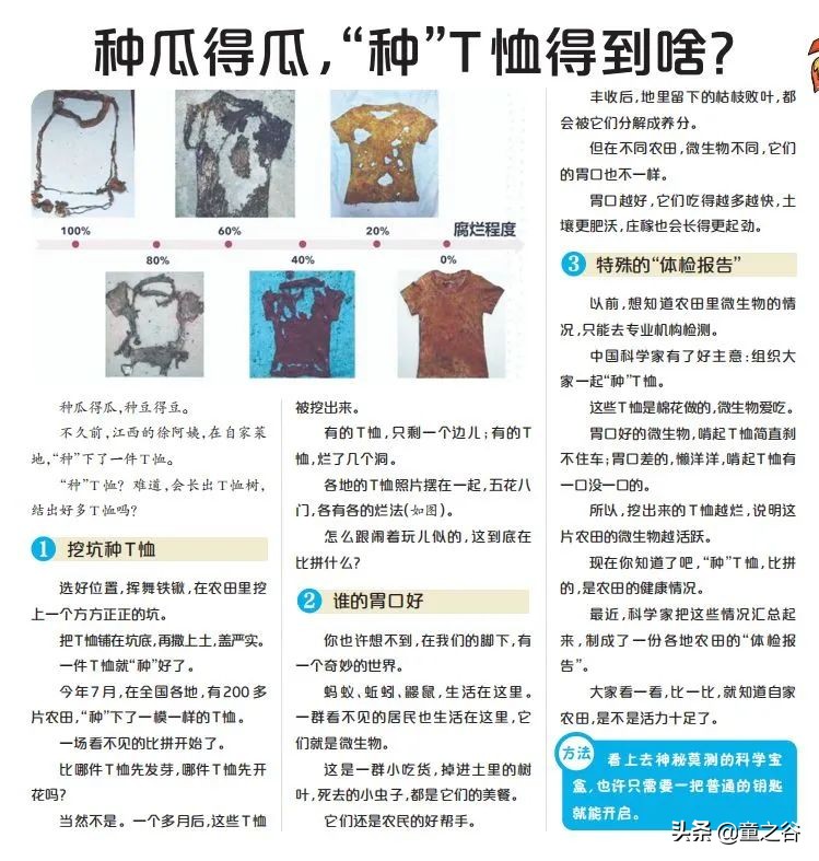 小学生需要知道的时事新闻知识,小学生记录时事新闻播报最新一期