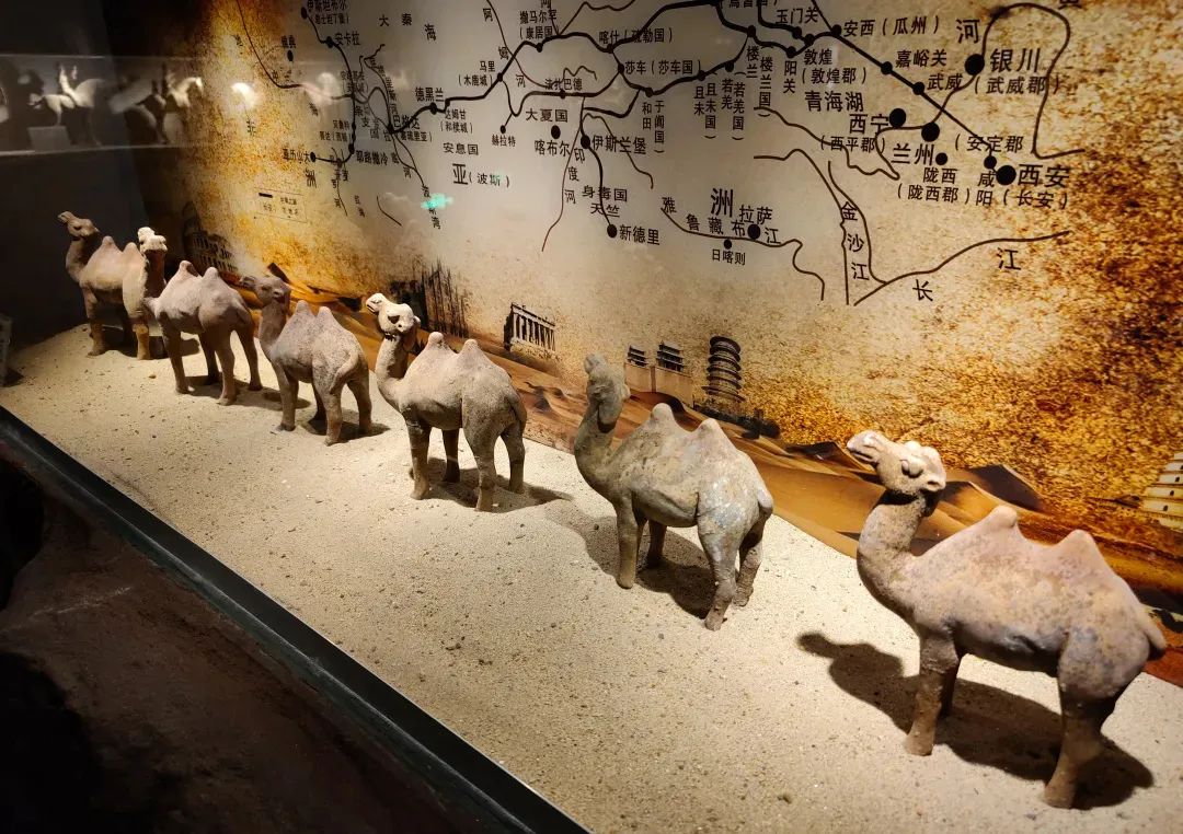 8月中旬带孩子去甘肃,带孩子去敦煌7天