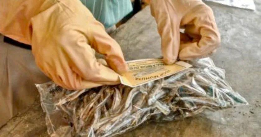 留学过海关不能带什么,中国留学生在海关被遣返