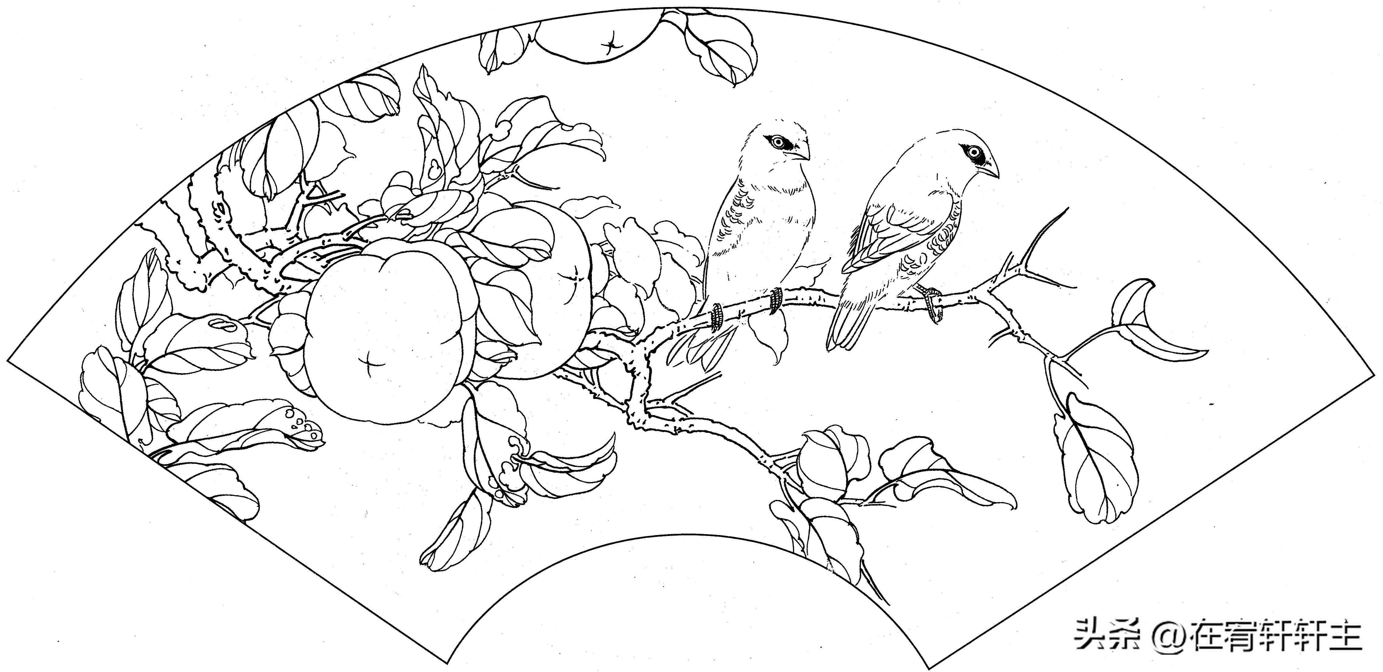 工笔白描祥云图案扇面,工笔扇面葡萄白描图片