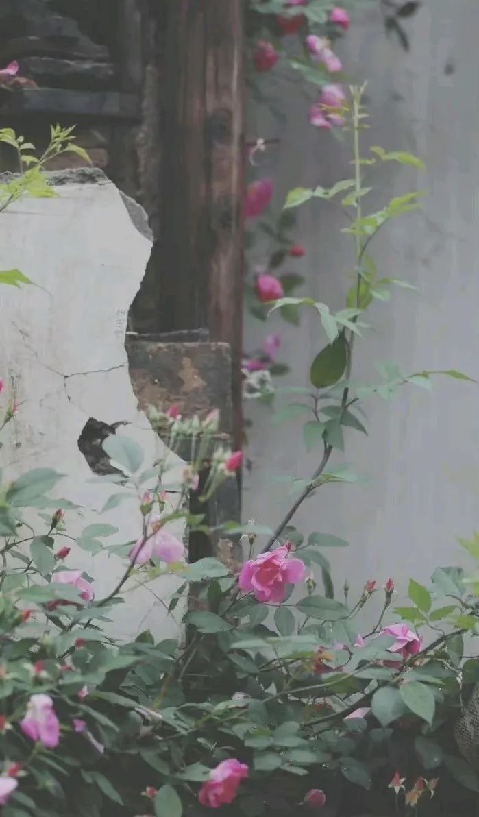 怎么才够温柔,怎么才能变得肯说话