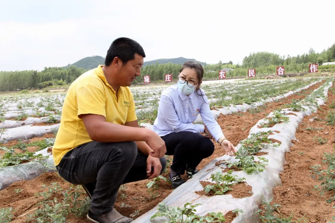 深耕三农是什么,用行动深耕三农