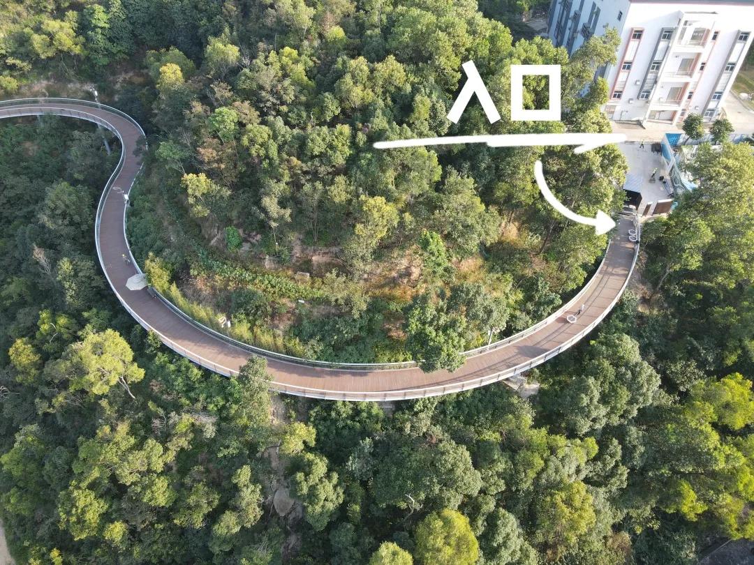 珠海景点免费开放时间最新,珠海今天有几个景区开放