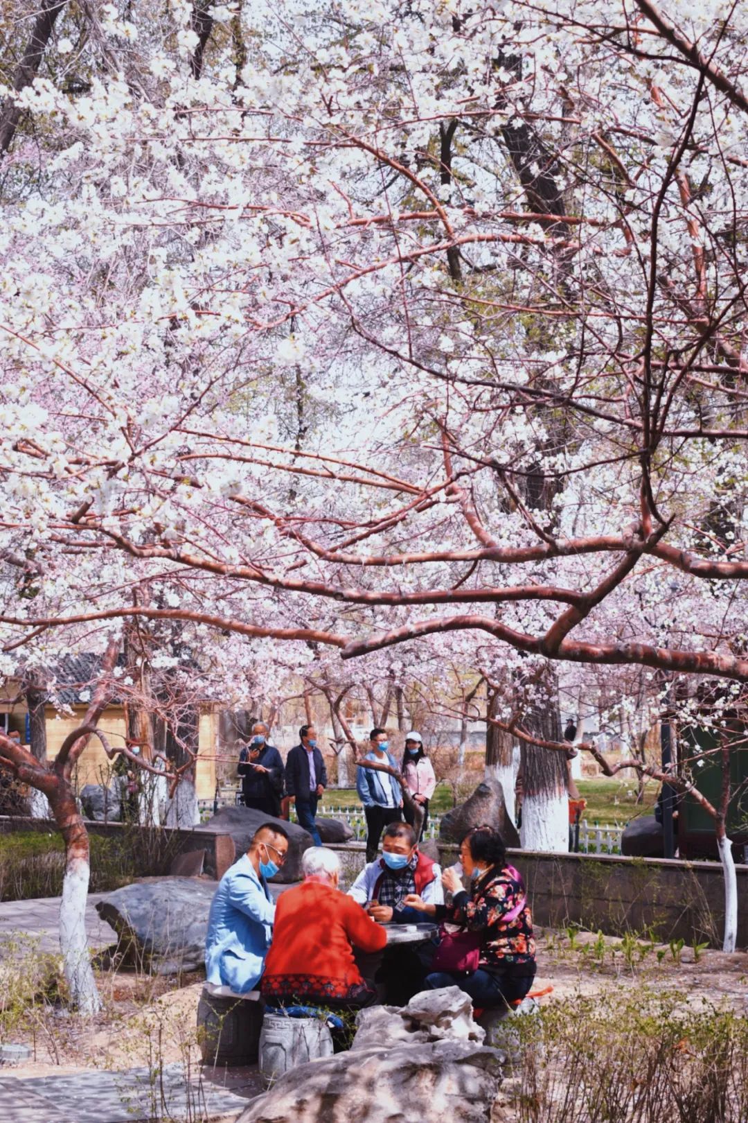 乌鲁木齐城市交通如何疏堵,压马路乌鲁木齐