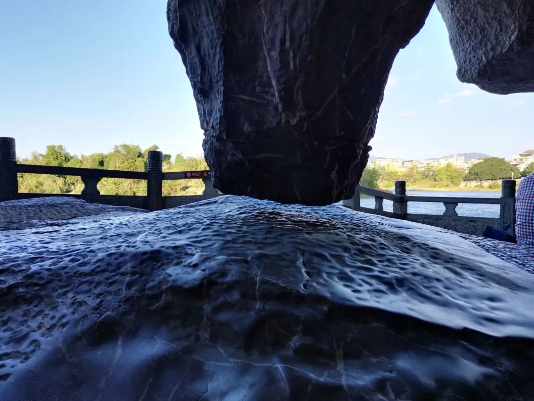 中国诗词大会陈曦骏人物素材,诗词大会第六季总冠军陈曦骏