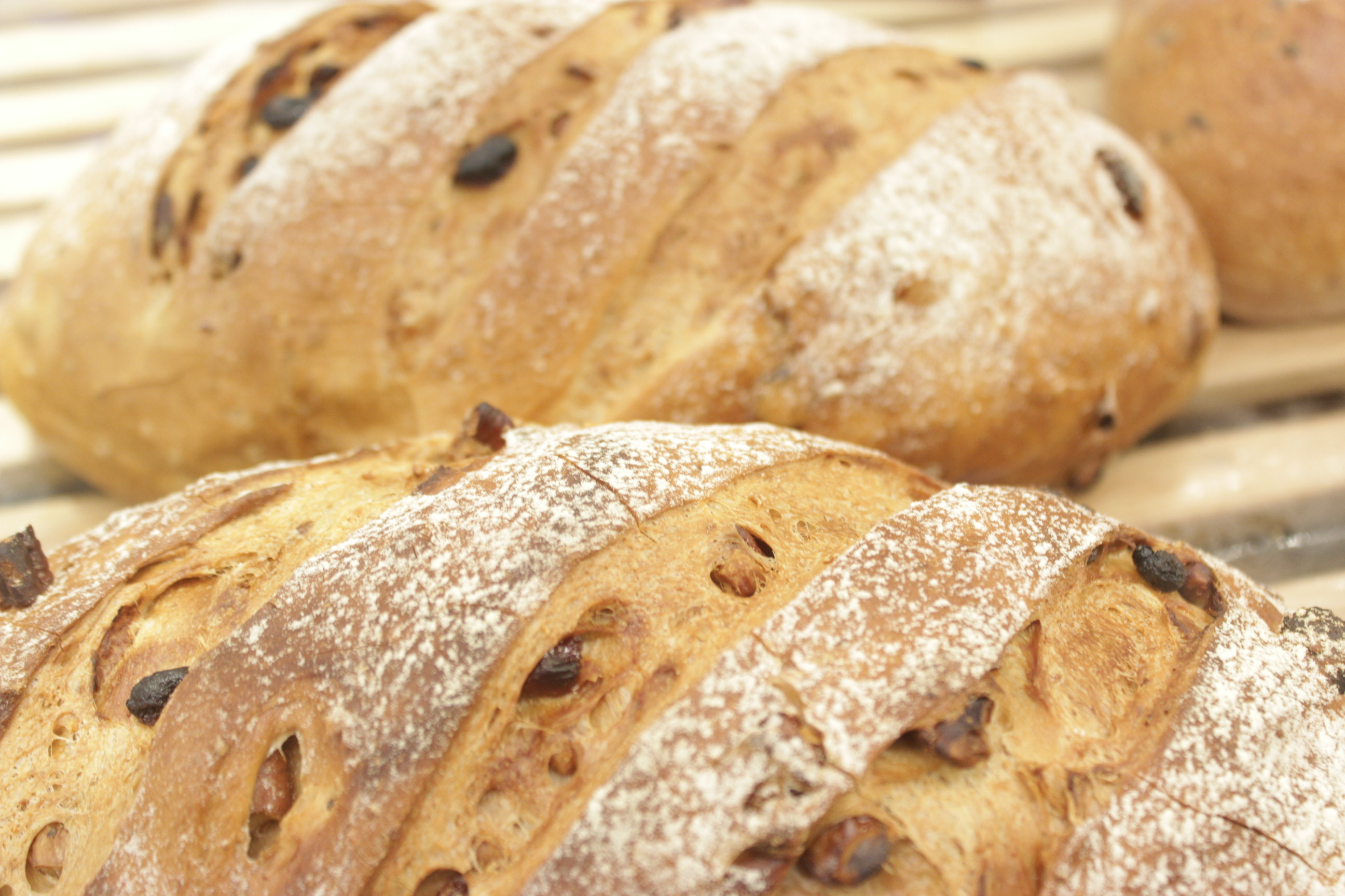 多乐之日有多少家店,多乐之日烘焙