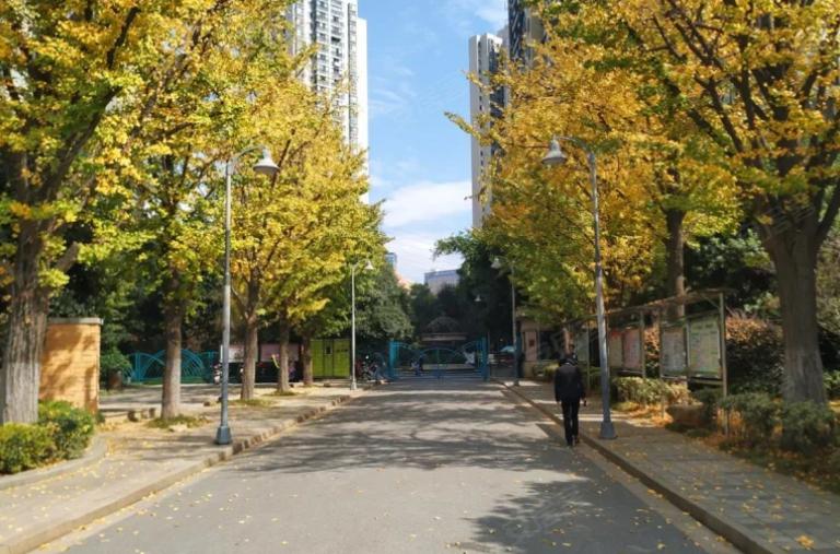 长沙宜居莱茵城为啥卖不起价,长沙宜居莱茵城房屋质量