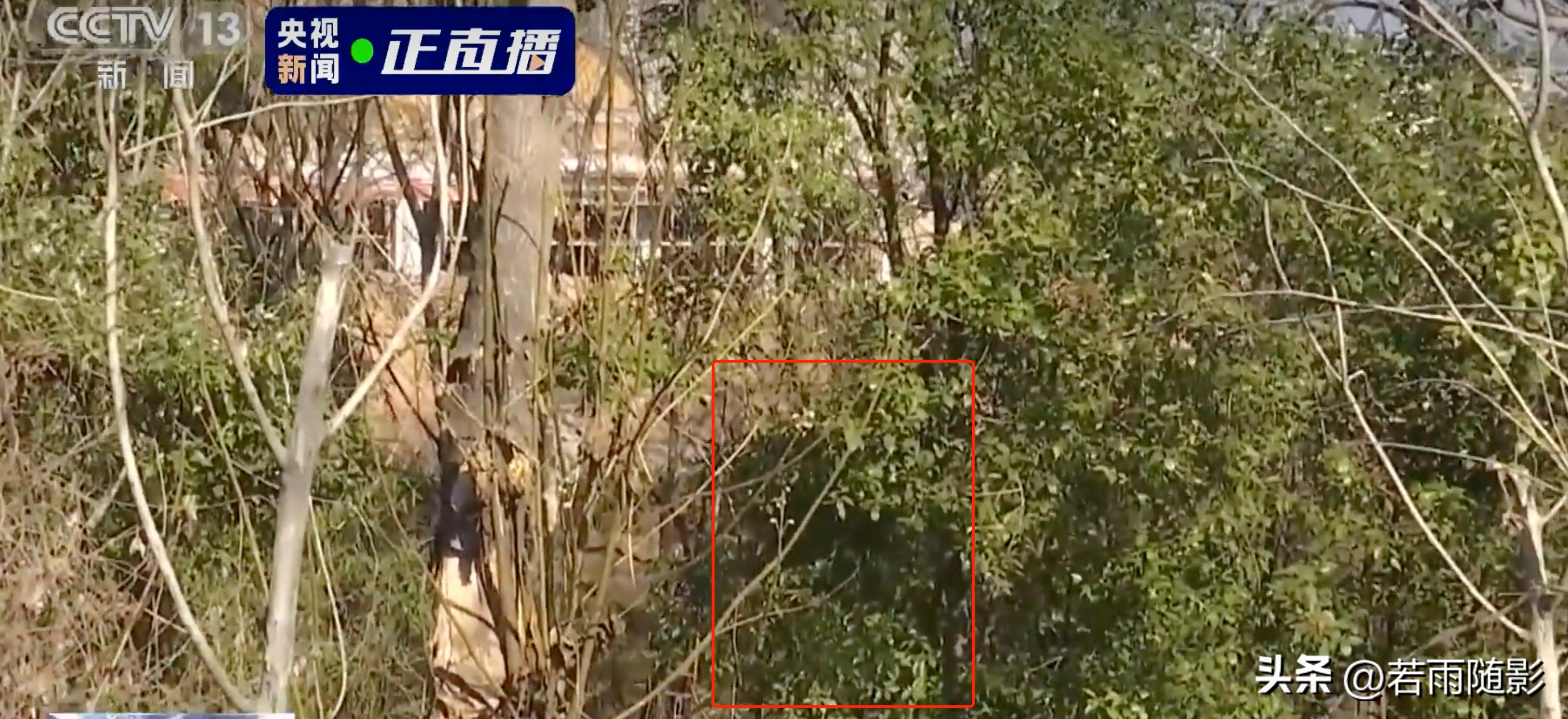 胡鑫宇案录音笔鉴定结果,胡鑫宇案尸检结果和录音笔内容