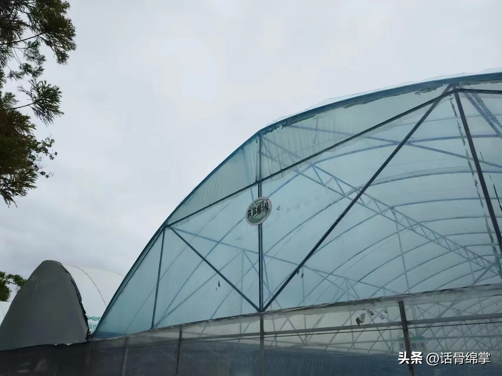 姹熸补骞虫鑱斿姩鍙戝睍,缁甸槼姹熸补鍗忓悓鍙戝睍