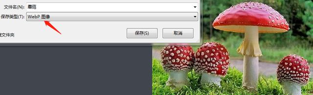 webp图片是什么格式,webp格式的图片用什么软件看