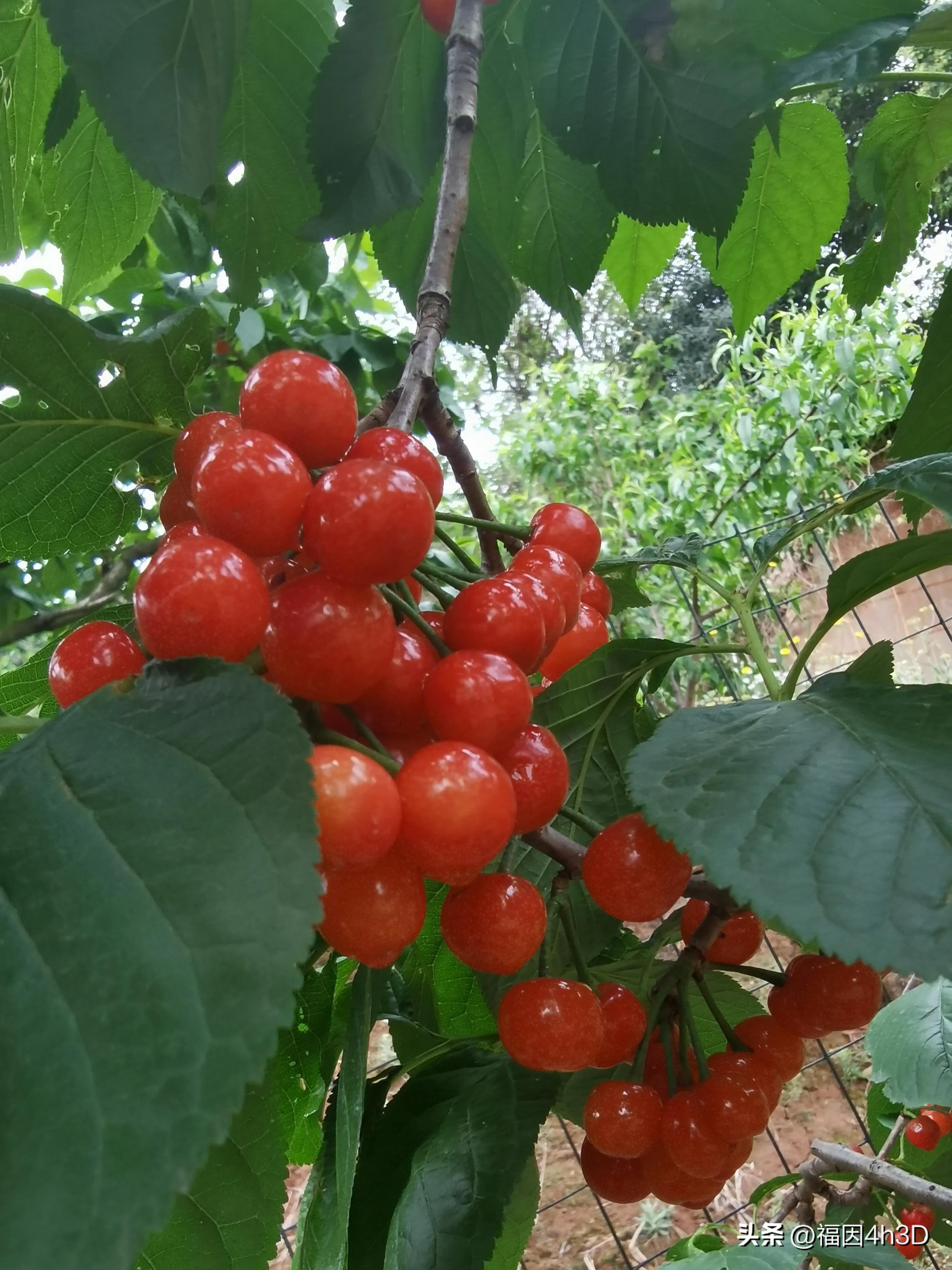 缁挎潵鏄綘灏忚鍏ㄦ枃闃呰绛旀,缂樻潵鏈変綘