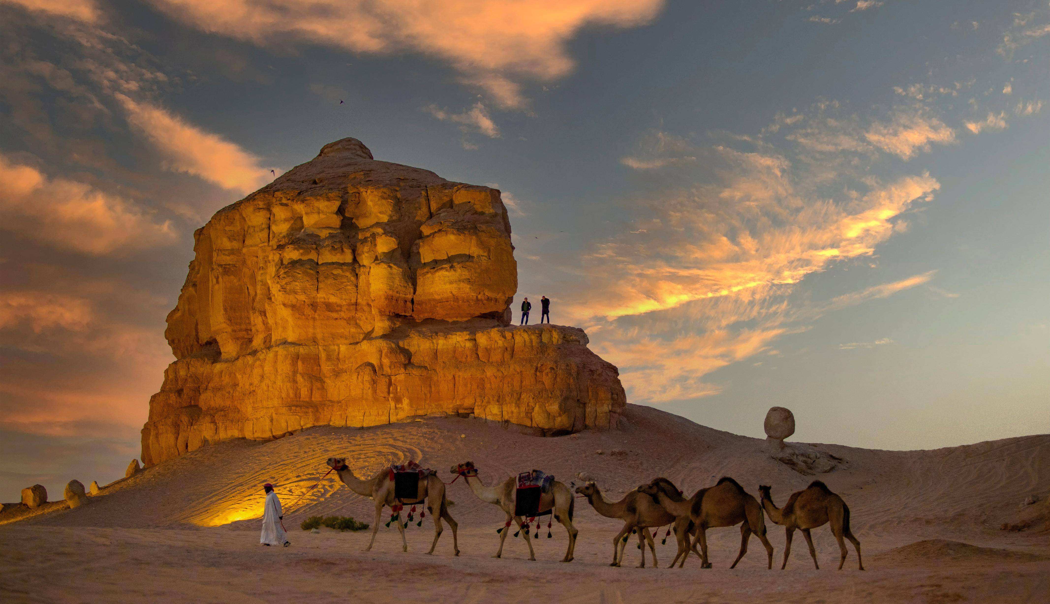 什么是仇视伊斯兰?