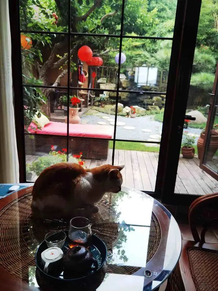 「原创诗词」黛影儿|既是人间虚己客，天地悠悠谁曾来