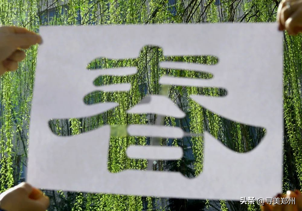 河南科技大学春景,河南科技职业大学校园春景