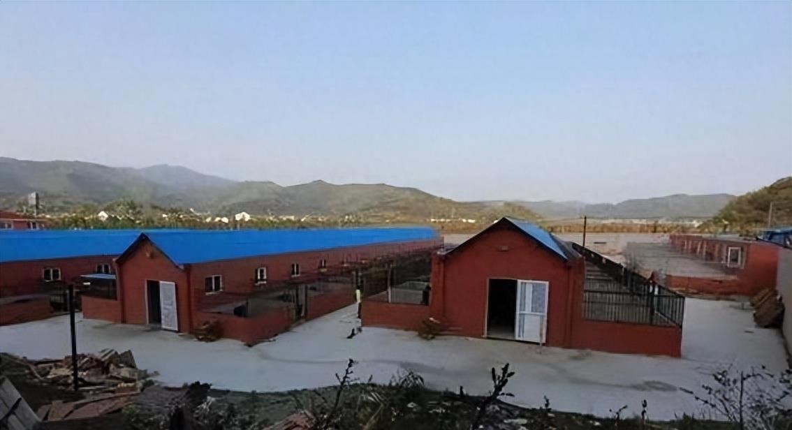 养罗威纳犬的真实经历,罗威纳犬真实传言