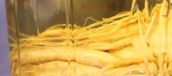 山东大妈人参,山东大妈家中人参值千万