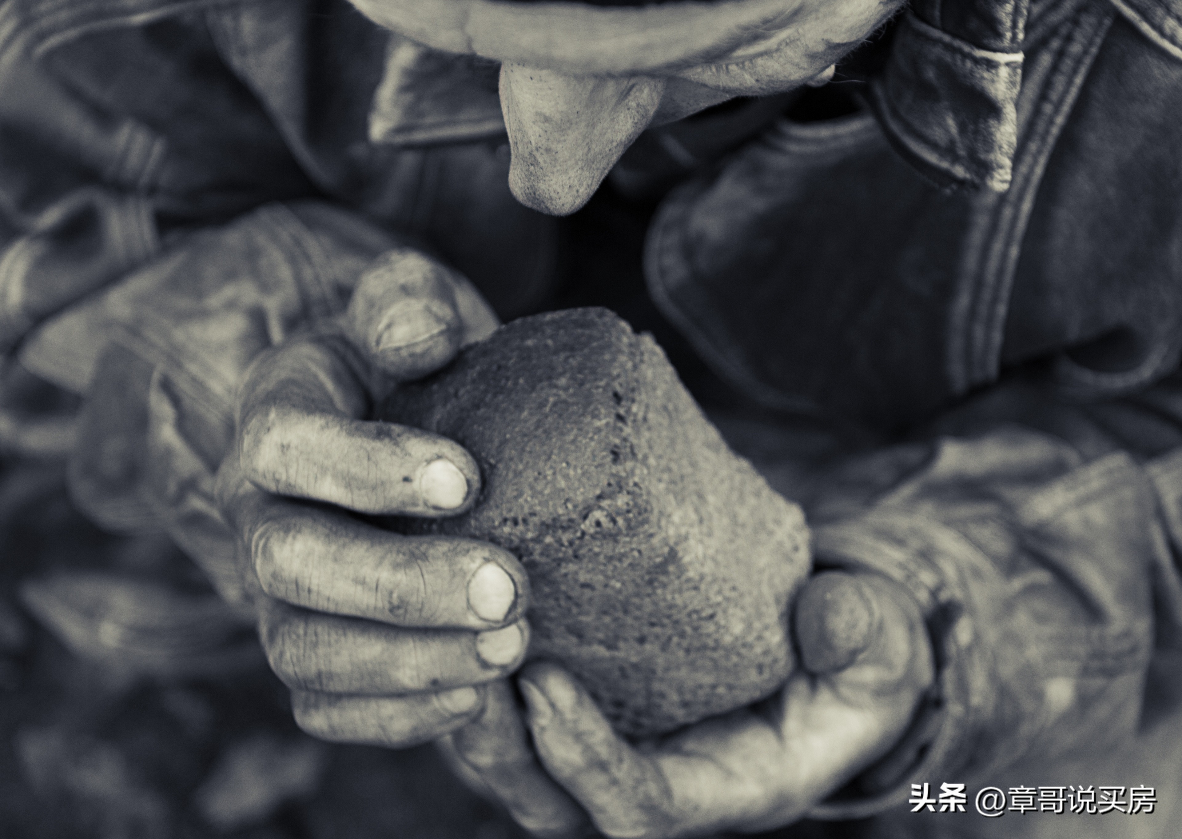 人类如何应对饥荒,全球范围的饥荒会导致什么后果