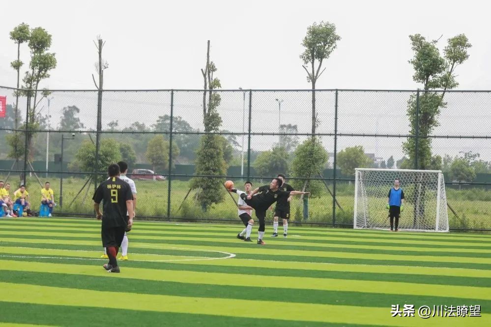 广安市第10届运动会直播回放,广安市前锋区运动会