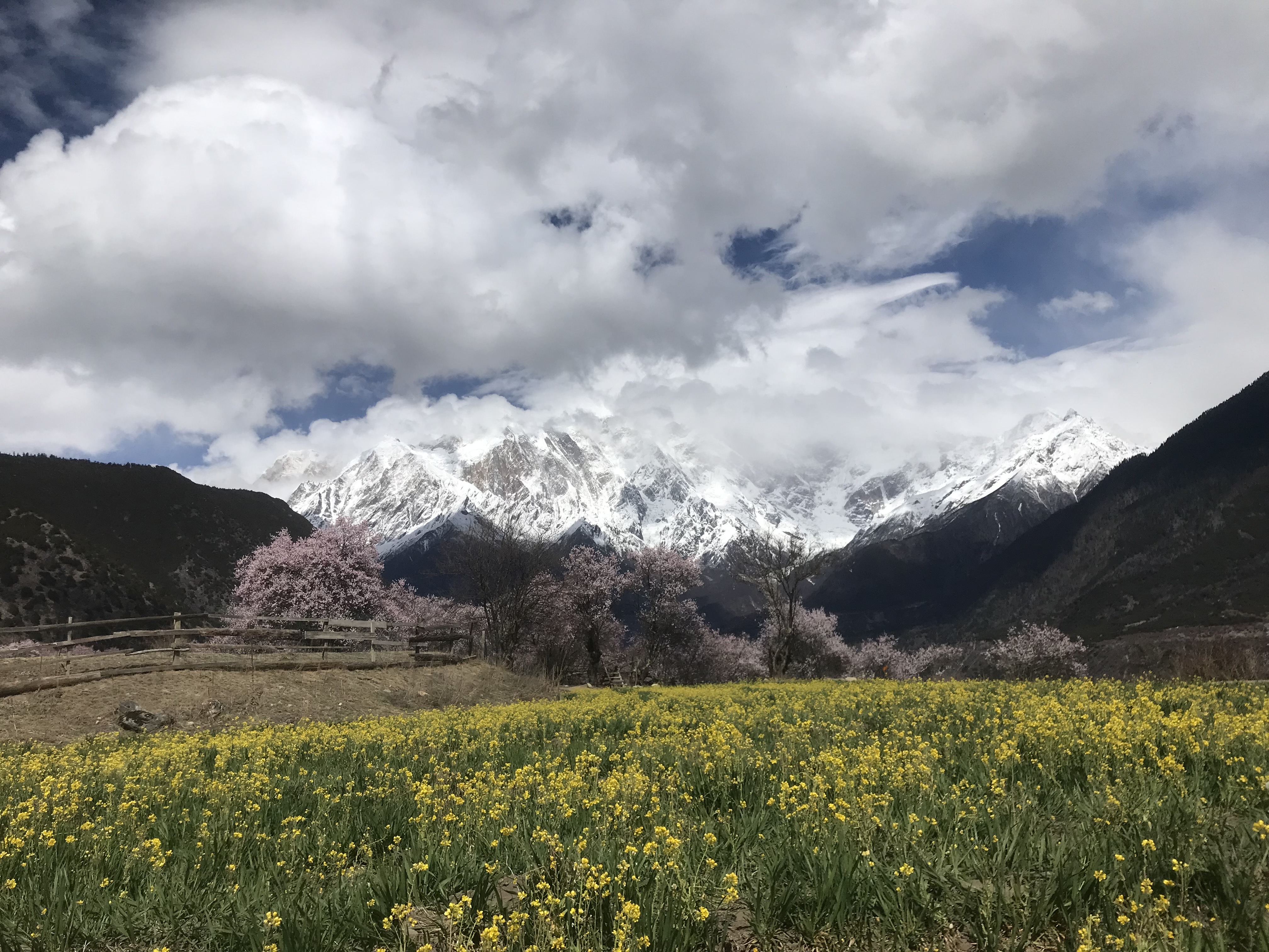 西藏名山南迦巴瓦峰意义,见到南迦巴瓦