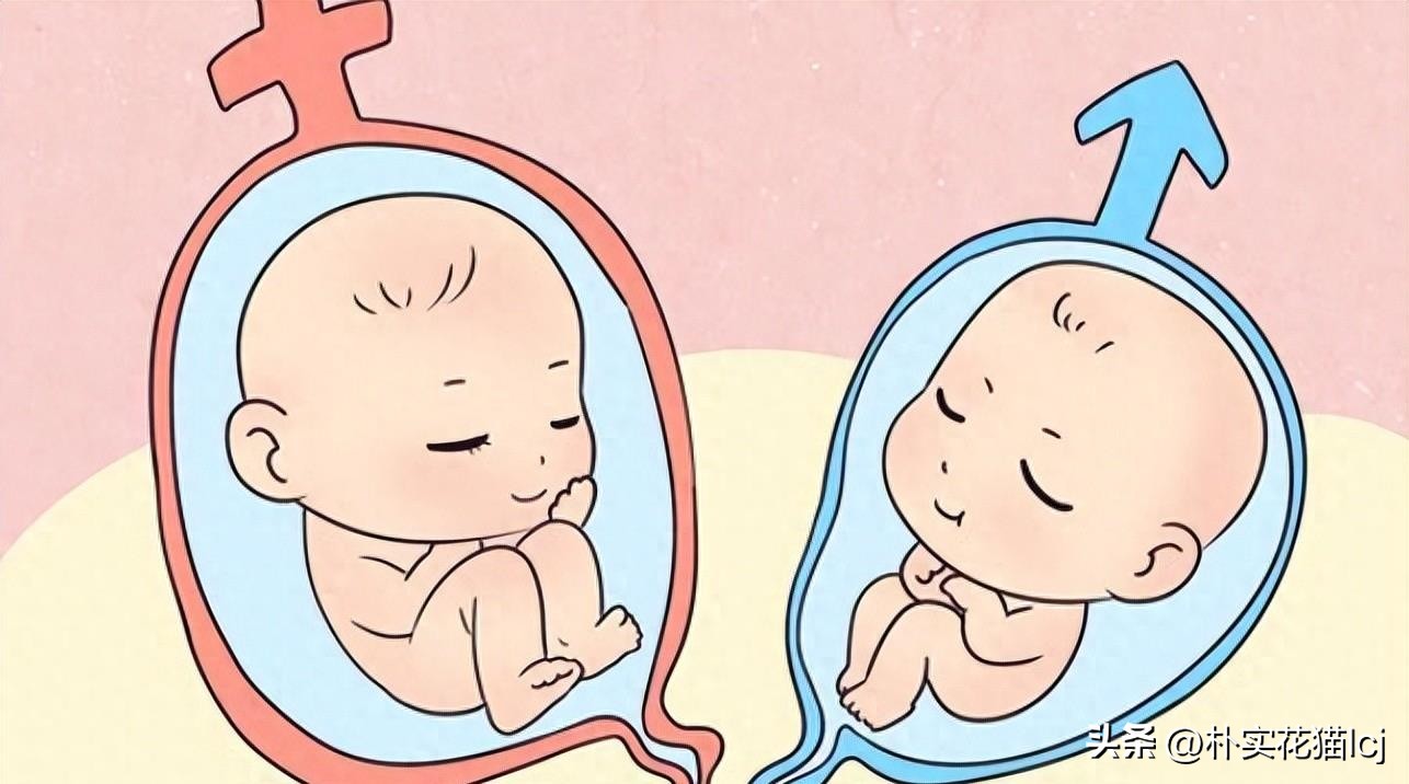 精子受孕未成功后去哪了,没有成功受孕的精子都去哪里了