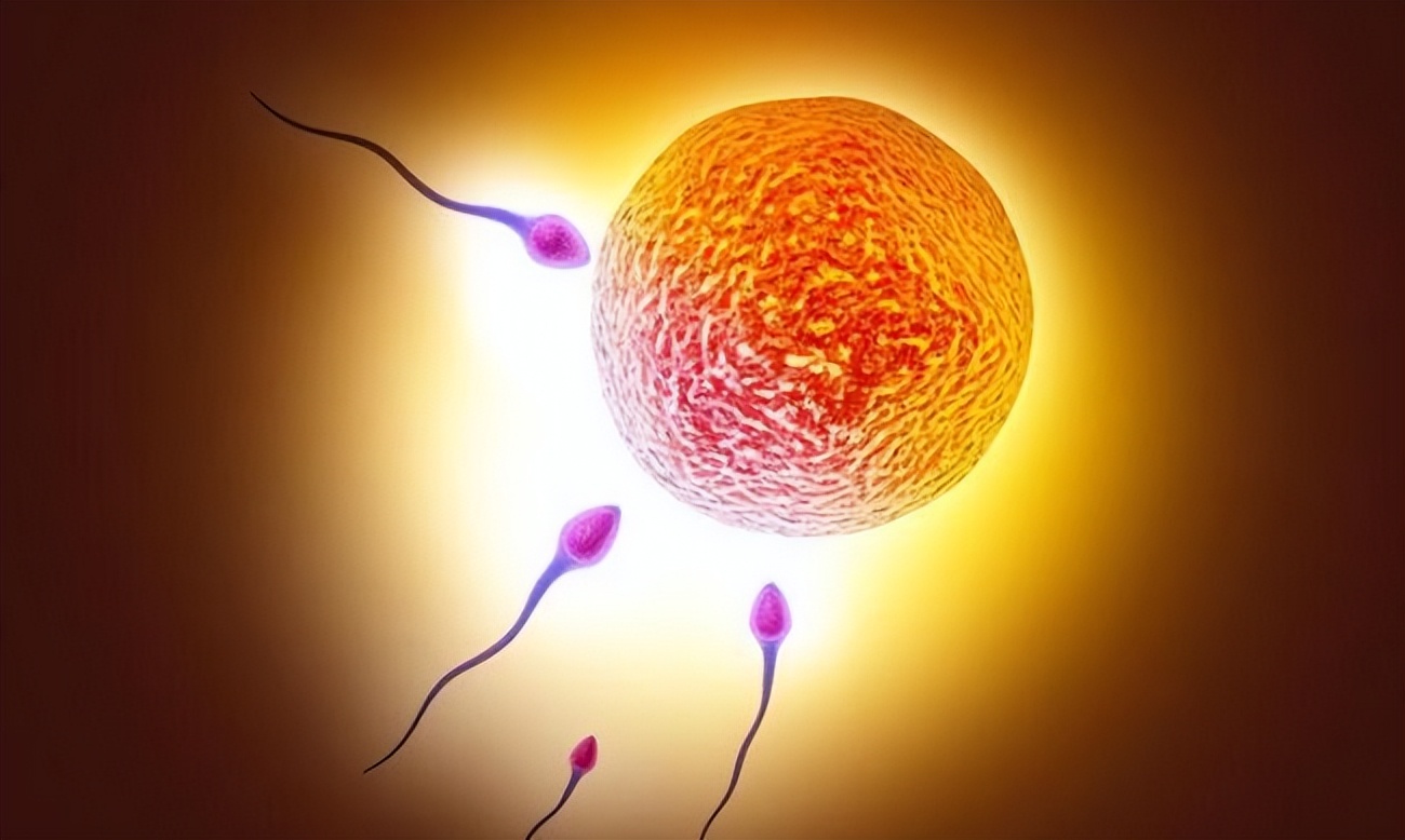 科学家发现精子和卵子,科学家首次拍到粒子和波相互转化