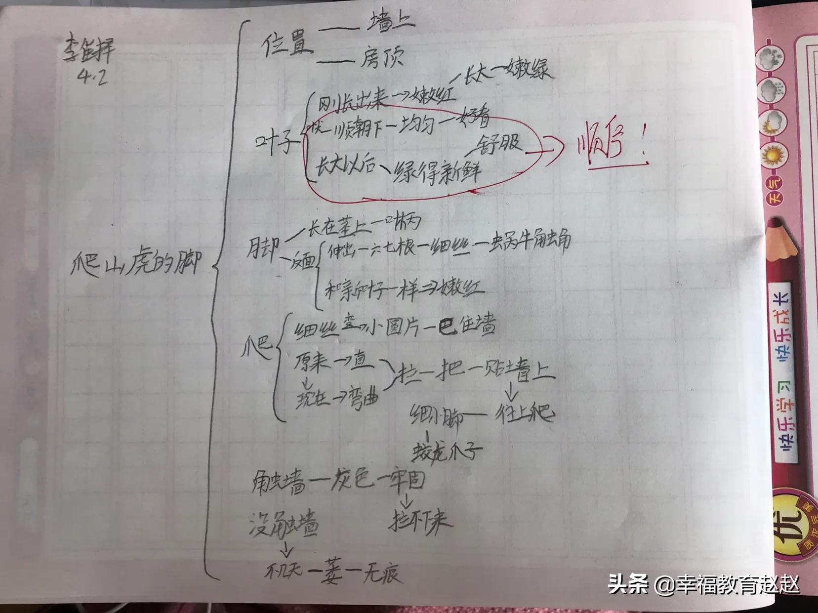 爬山虎的脚思维导图怎么画图片,爬山虎的脚思维导图绘画过程