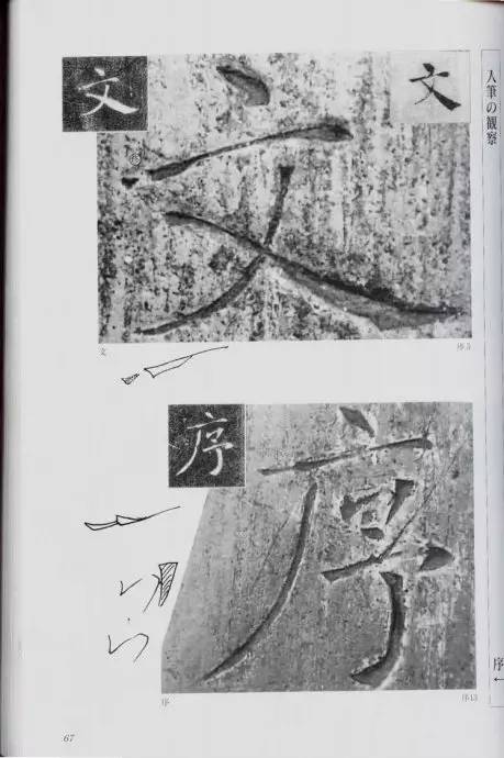 宸ョ瑪鐢绘潹鏅箟鐢诲唽,鏉滈箖鏉ㄦ櫘涔夊畬鏁寸増