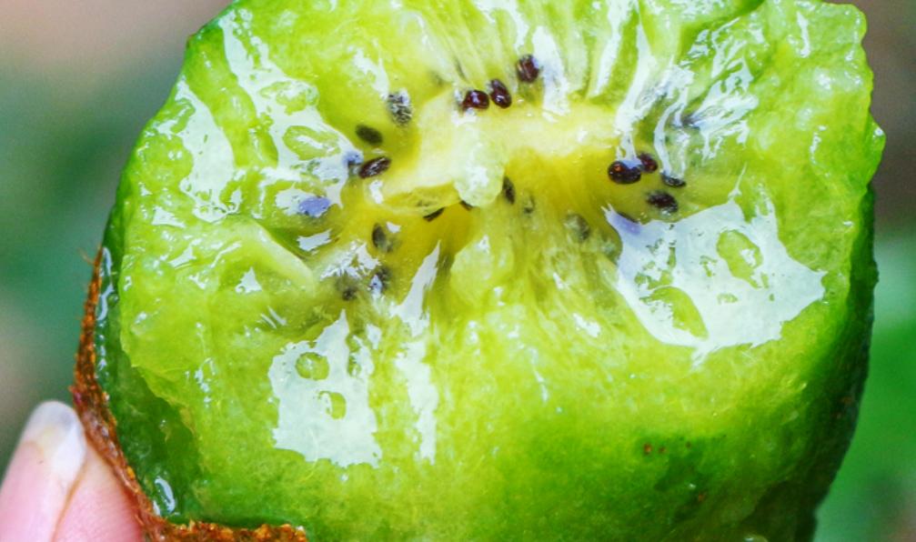 润喉润肺的水果有哪些,什么水果可以止咳润喉化痰