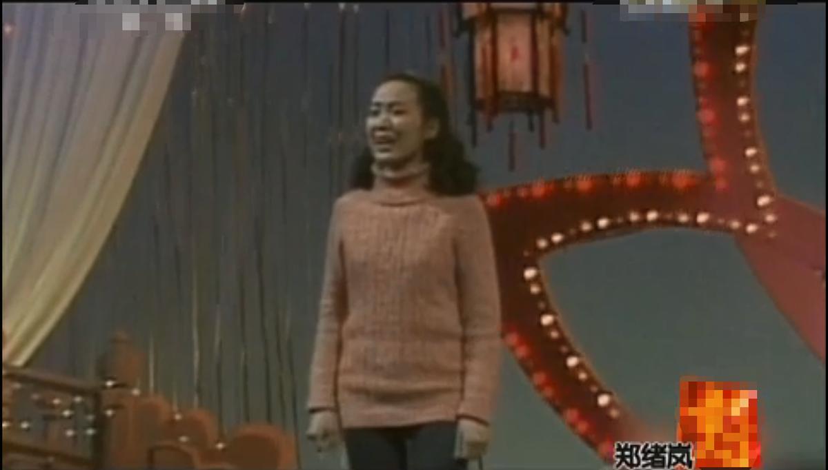 郑绪岚成名作北京卫视,郑绪岚如今有工作吗