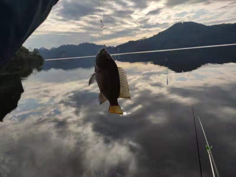 太阳呢？在我煎锅里！——南宁市上林县东敢水库露营