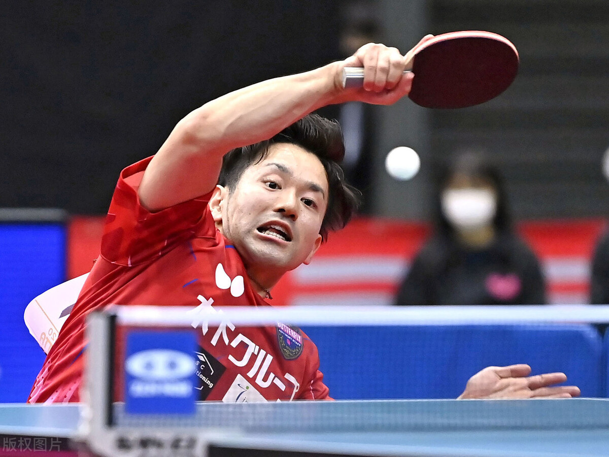 世乒赛日本张本智和夺冠,世乒赛日本张本智和输给谁