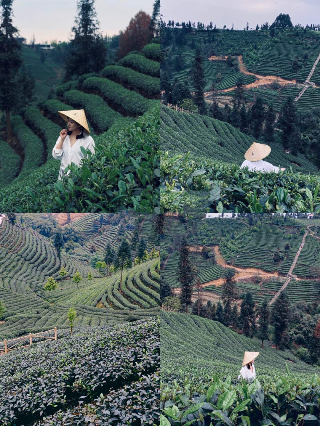 成都近郊一个小众禅意古镇,成都茶山古镇图片