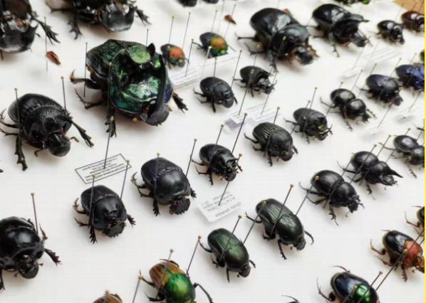 苏州乐园溜娃好去处,苏州遛娃公园推荐