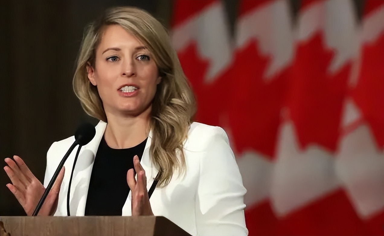 卡在节骨眼上的加拿大*华反**，绝非巧合！