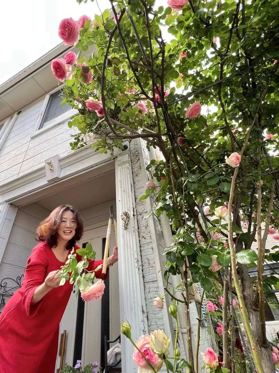 鏃ユ湰绉佷汉鏈堝鑺卞洯搴櫌,鎴戝湪鏃ユ湰