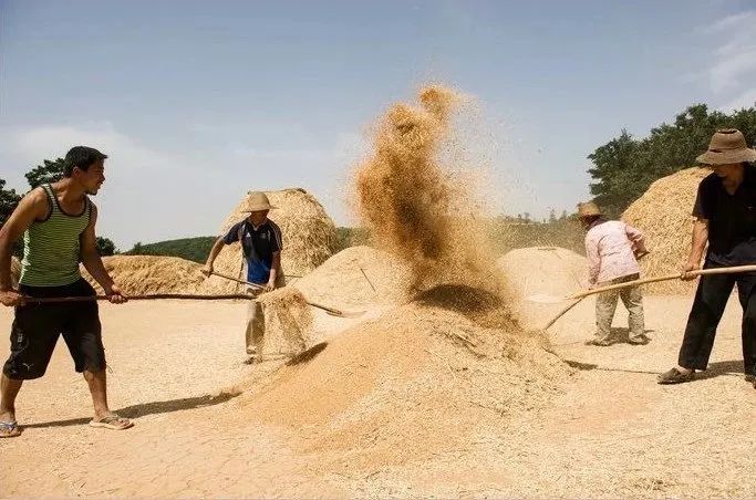 农药中毒过程科普,农药中毒有十几年了留下后遗症了