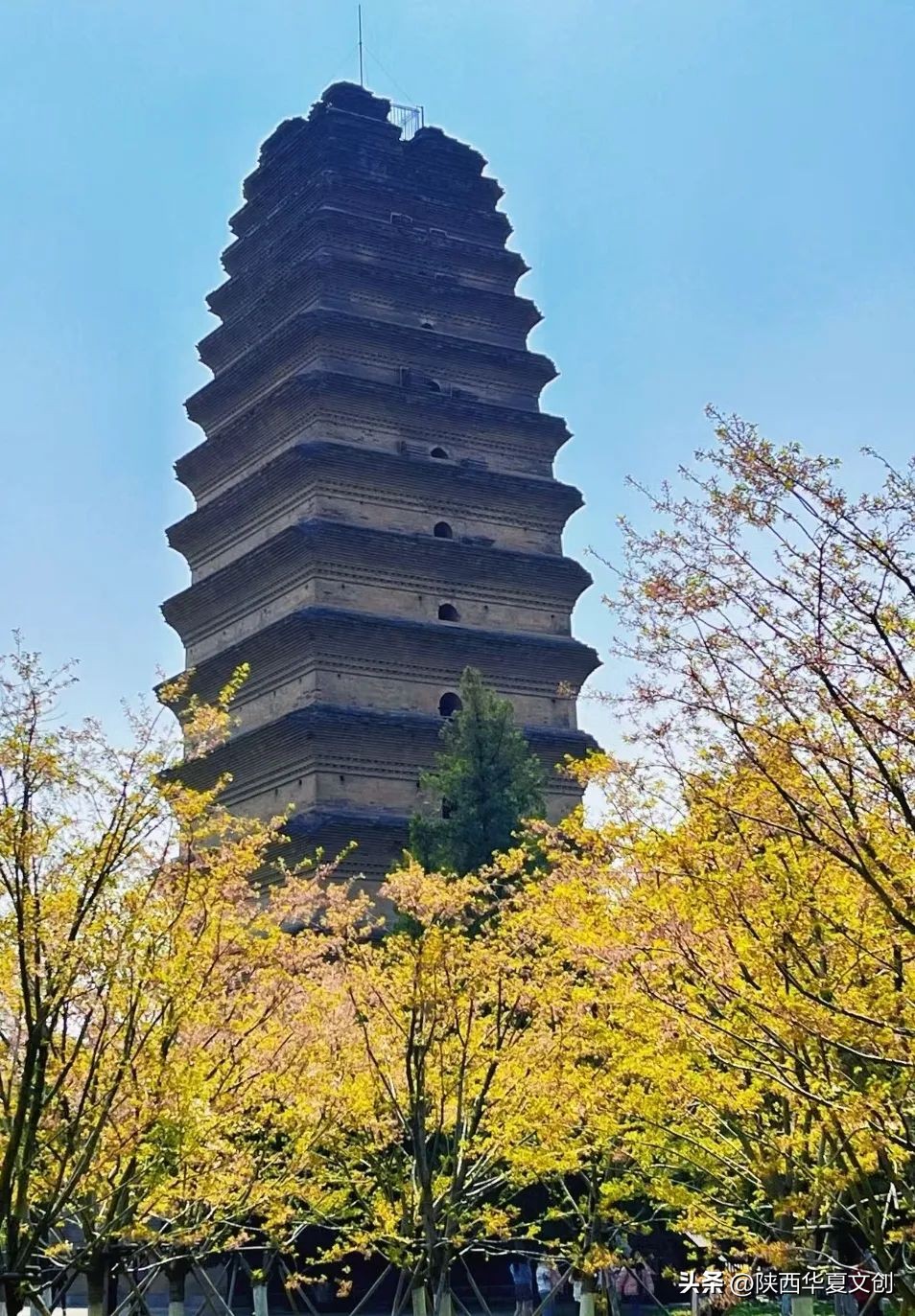 西安出发特种兵旅游全攻略,特种兵旅行24小时玩遍西安