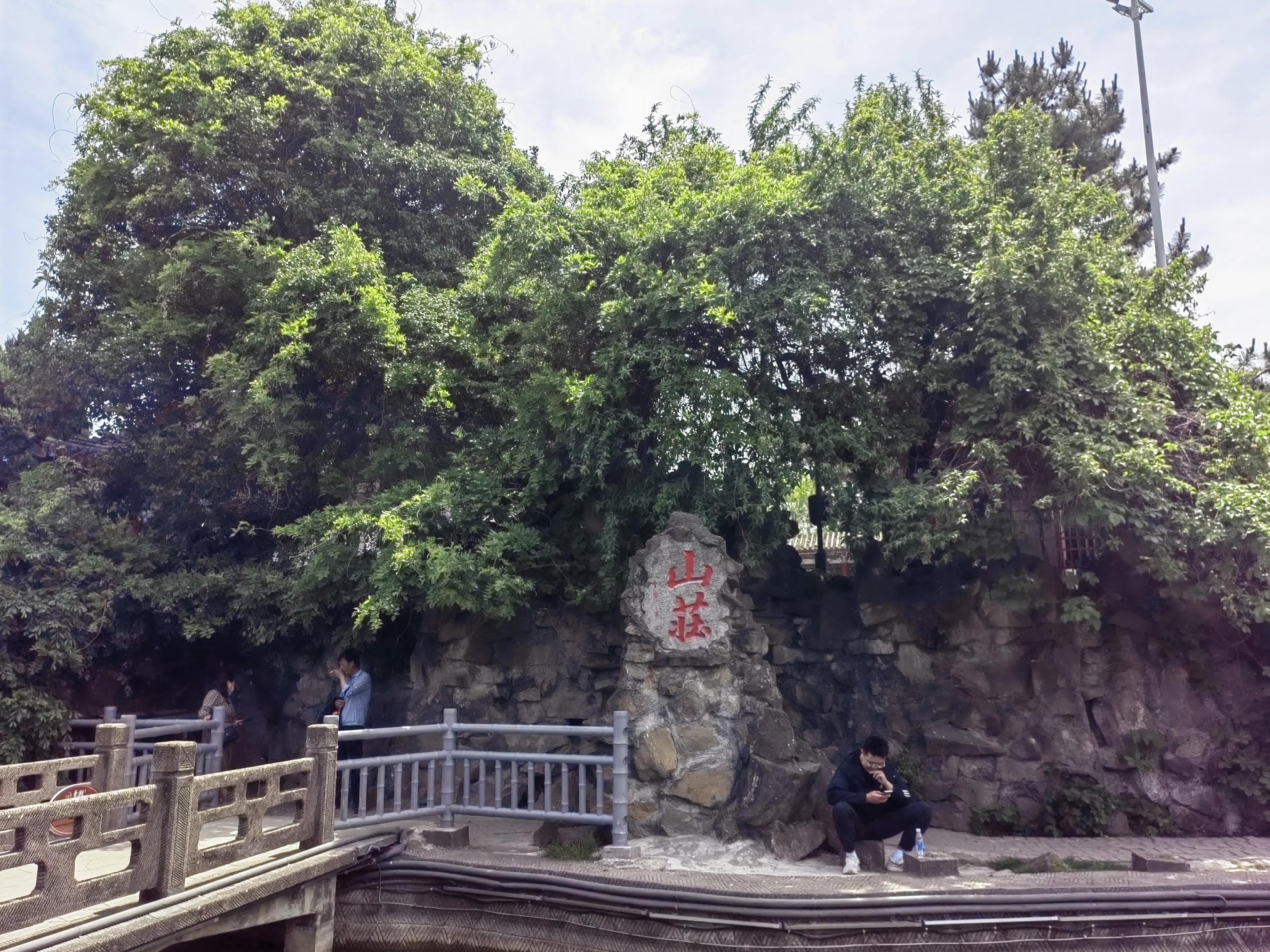 雍州和凤翔的关系,凤翔雍州庙会视频