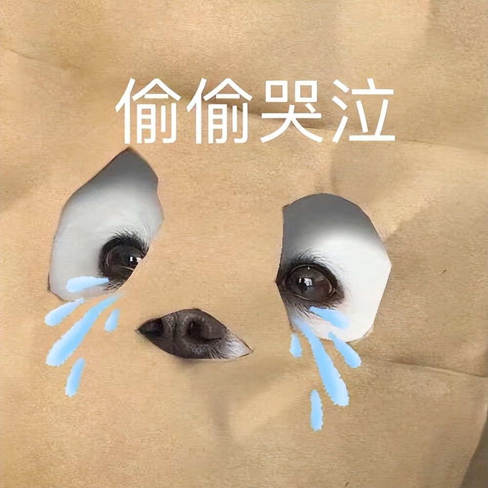 狗狗有泪痕应该怎么去除,狗狗有泪痕应该怎么处理