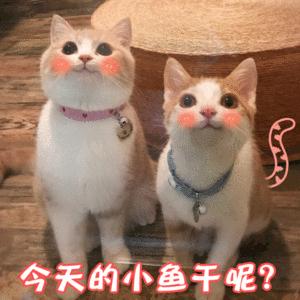 微信查券返利机器人,京东领券返利