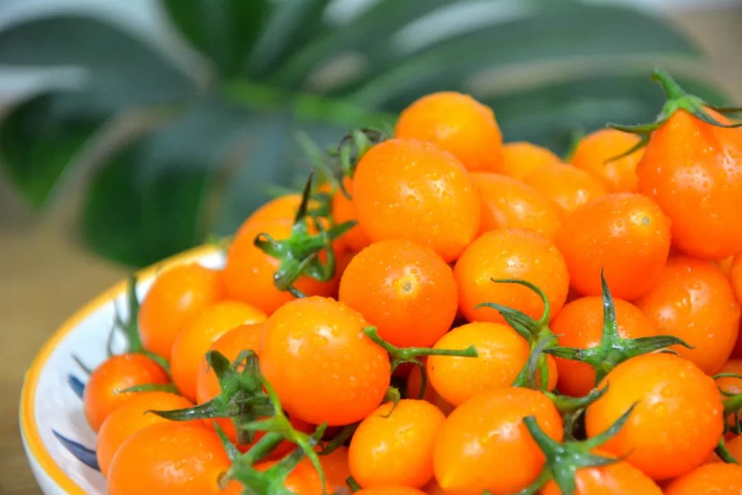 秋季吃柿子应该注意啥,吃秋柿子有什么禁忌什么人不能吃