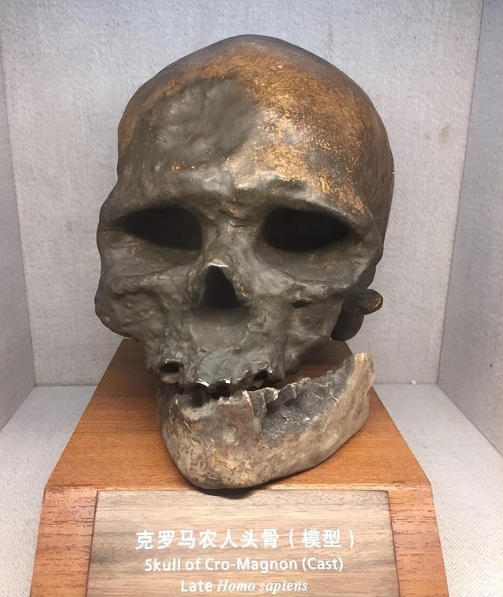 胆小莫入的人有多可怕,胆小勿进眼见不一定为实