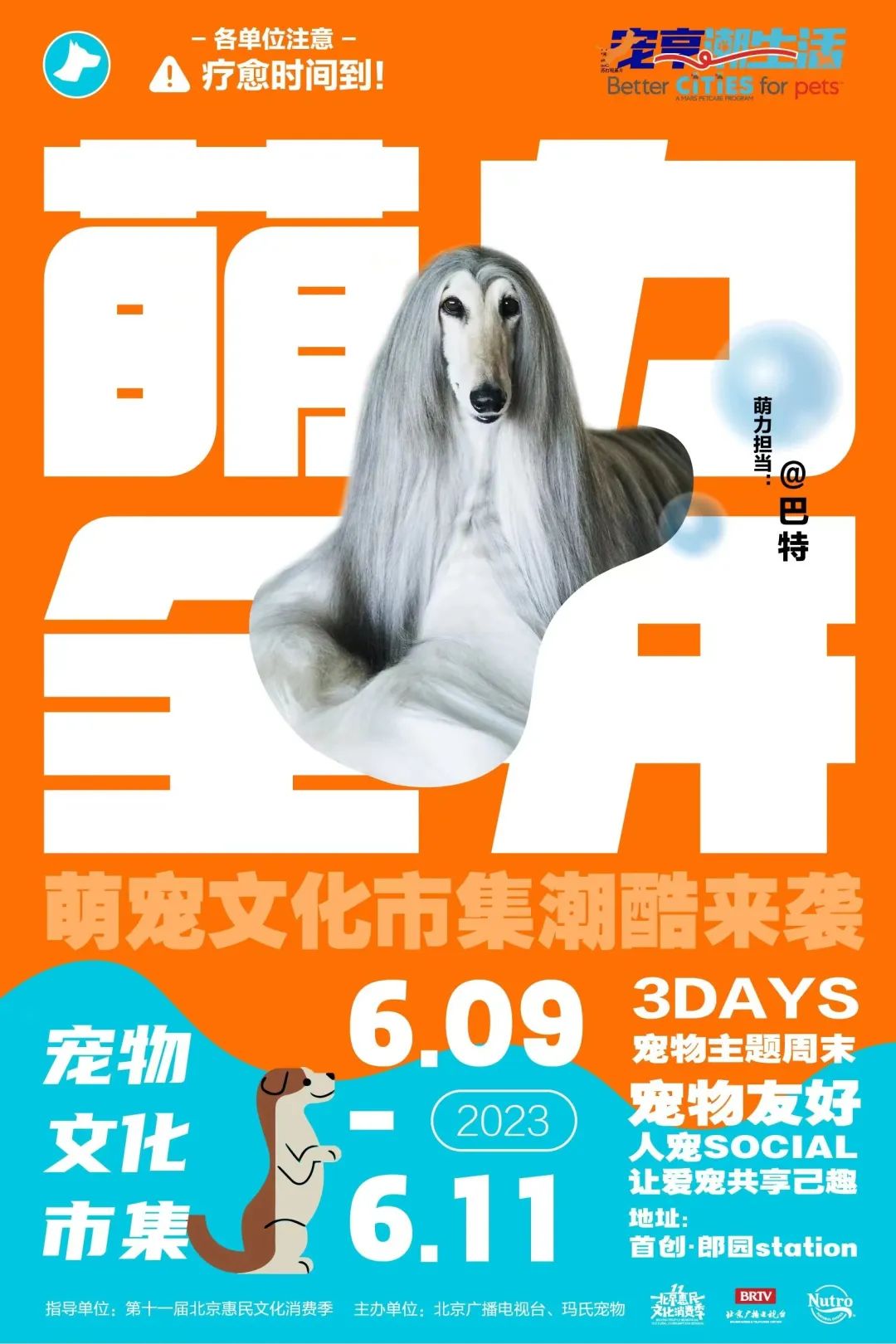 各单位注意！6.9-6.11「萌力全开！宠物文化市集」各摊主已就位！快来Pick你最中意的他