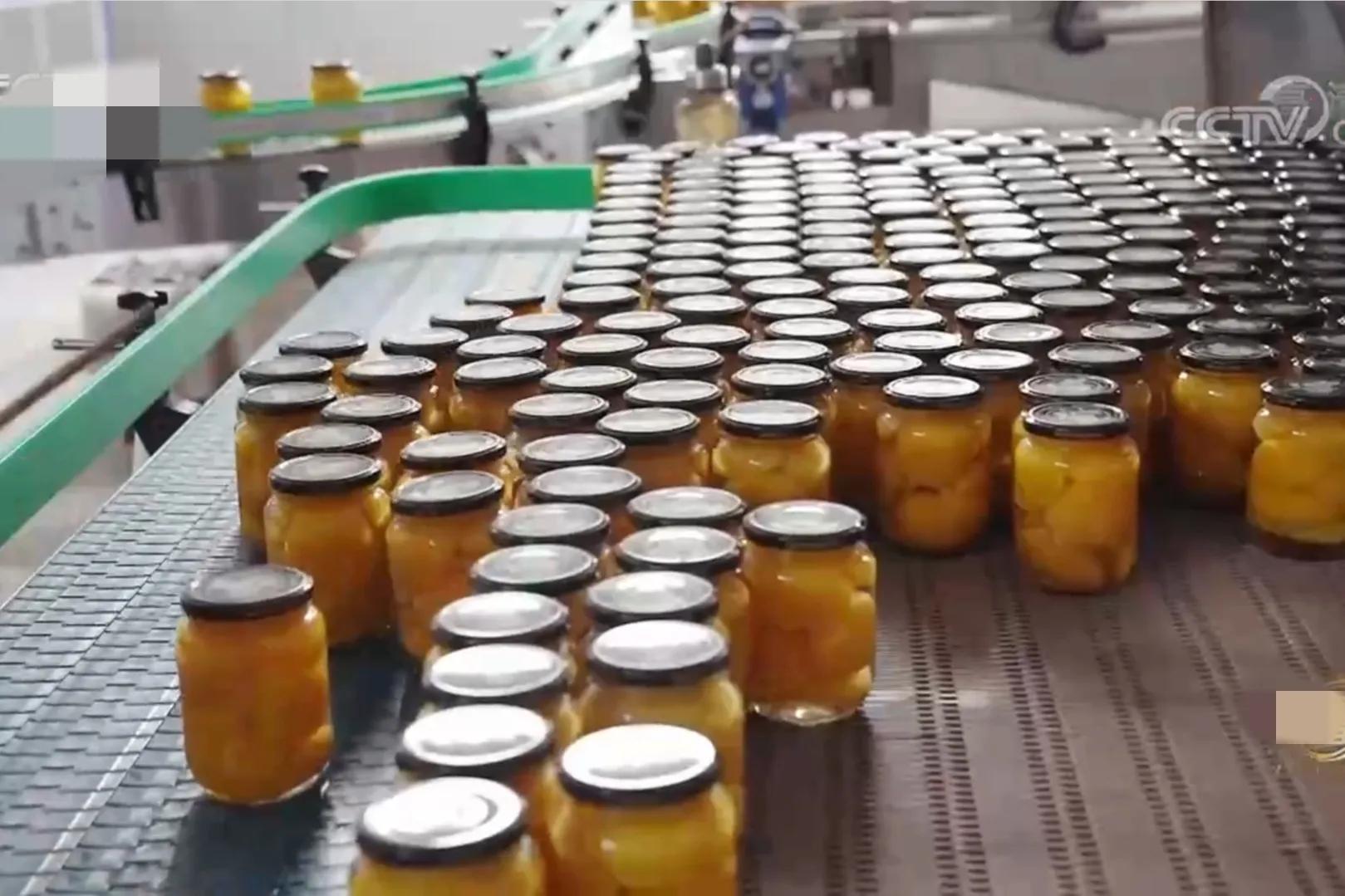 山东女孩承包5600亩地,女子承包500亩地种红薯被村民偷挖