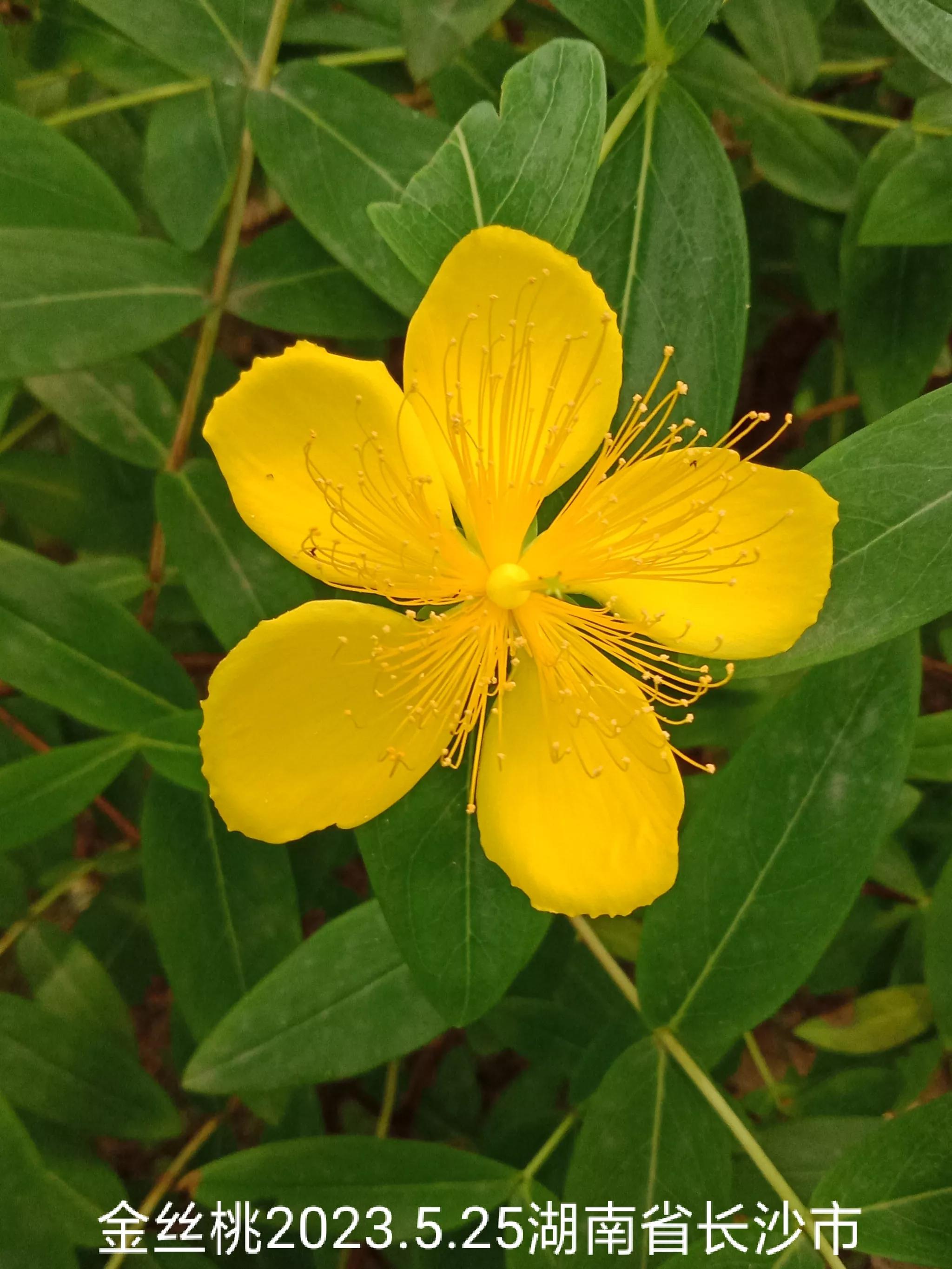 怎么找回没保存丢失的微信群,怎么找回没有保存的微信群