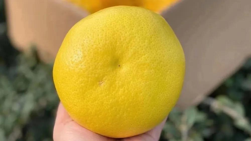 水果店的水果保鲜方法,水果店怎么保鲜水果最好