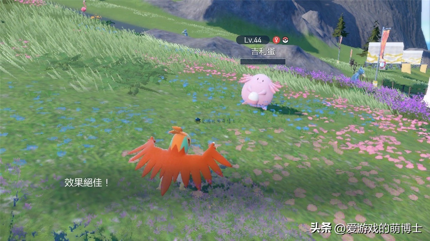 精灵好感度,switch宝可梦朱紫亲密度怎么看