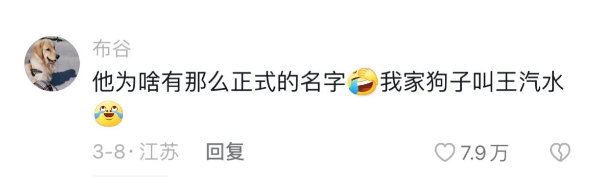 宠物取什么名字好听,取一个宠物名字